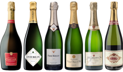 Top Value Champagne Tasting Case