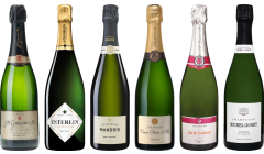 Top Value Champagne Tasting Case