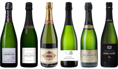 Top Value Champagne Tasting Case