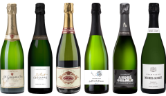 Top Value Champagne Tasting Case