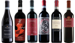 Valpolicella Ripasso Premium Tasting Case