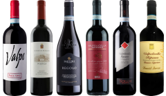 Valpolicella Ripasso Premium Tasting Case