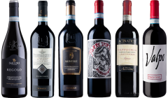 Valpolicella Ripasso Premium Tasting Case