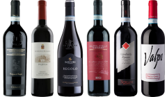 Valpolicella Ripasso Premium Tasting Case