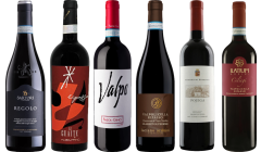 Valpolicella Ripasso Premium Tasting Case