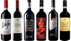 Valpolicella Ripasso Premium Tasting Case