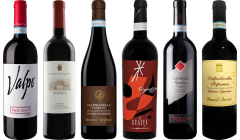Valpolicella Ripasso Premium Tasting Case