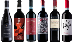 Valpolicella Ripasso Premium Tasting Case