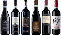 Valpolicella Ripasso Premium Tasting Case