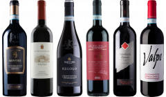 Valpolicella Ripasso Premium Tasting Case