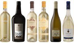 Vermentino Premium Tasting Case