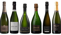 Vintage Champagne Premium Tasting Case