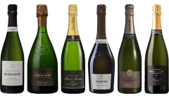 Vintage Champagne Premium Tasting Case
