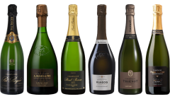 Vintage Champagne Premium Tasting Case