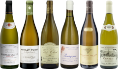 White Burgundy Tasting Case