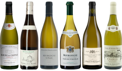 White Burgundy Tasting Case