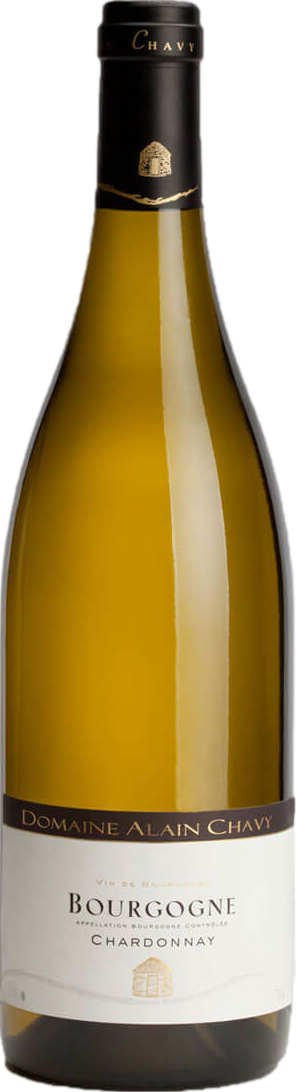 Image of Domaine Alain Chavy Bourgogne Chardonnay 2022