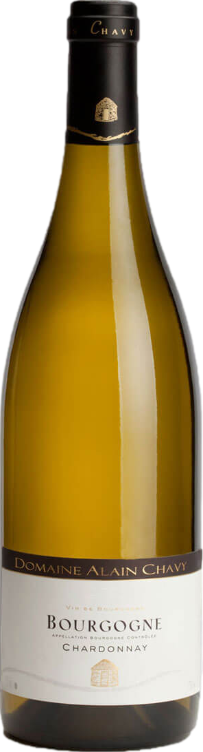 Domaine Alain Chavy Bourgogne Chardonnay 2024