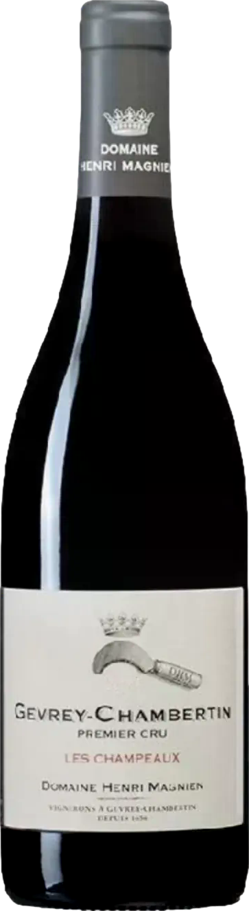 Henri Magnien Gevrey Chambertin Premier Cru Les Champeaux 2024 (75cl)
