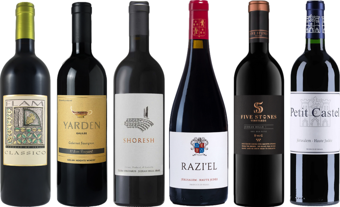 Israel Red Wine Tasting Case