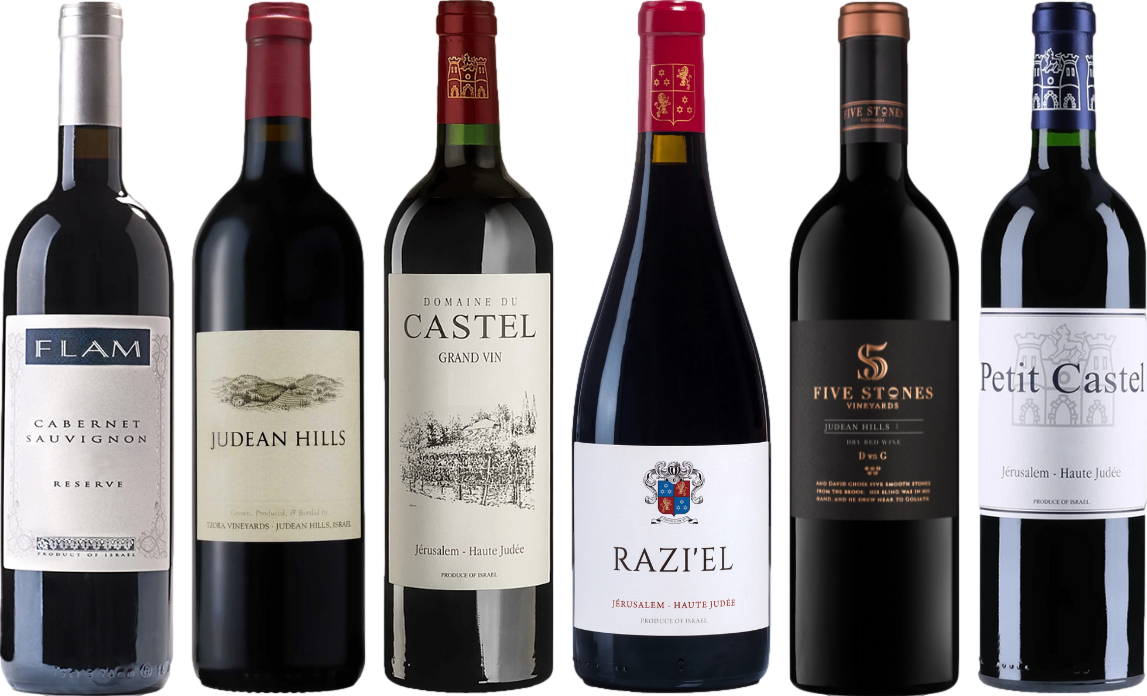 Premium Israel Red Wine Tasting Case