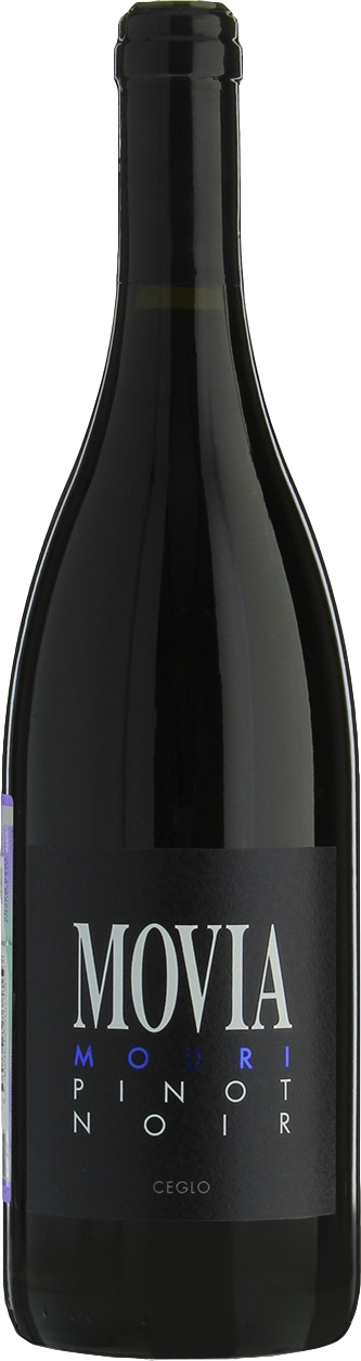 Image of Movia Modri Pinot Noir 2021