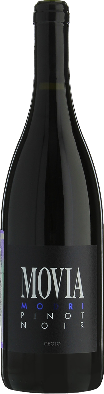 Movia Modri Pinot Noir 2023
