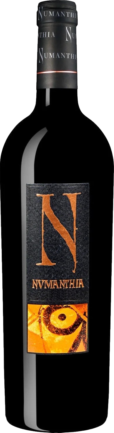 Numanthia Toro 2021 Wine (75cl) product image