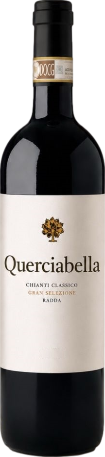 Chianti Classico Gran Selezione Radda 2021