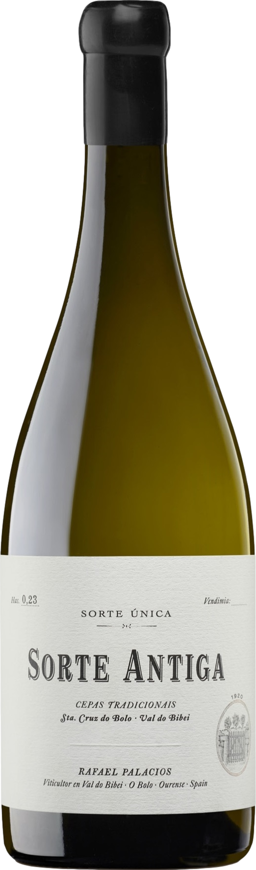 Image of Rafael Palacios Sorte Antiga 2022