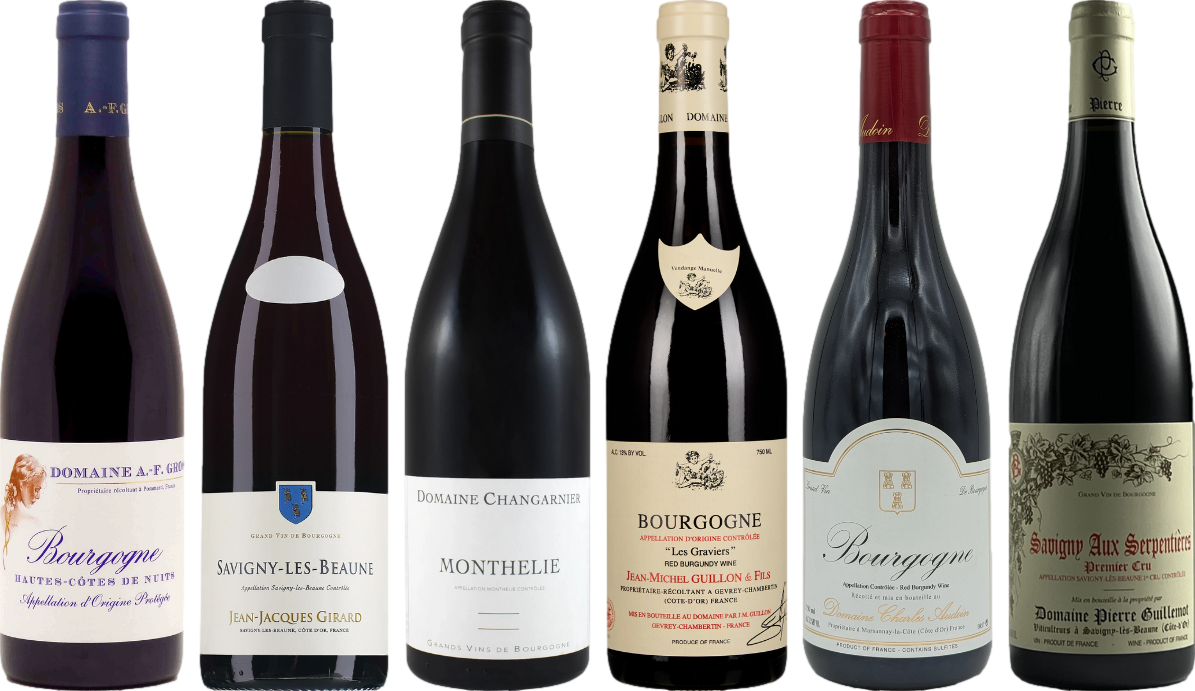 Red Burgundy Wine Tasting Kit