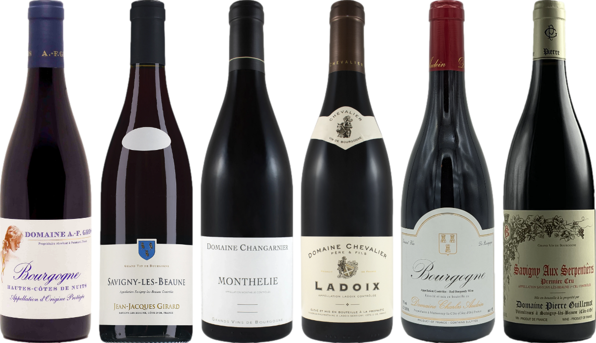 Red Burgundy Wine Tasting Selection