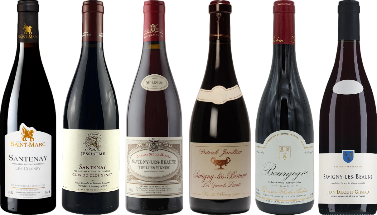 Red Burgundy Wine Tasting Case