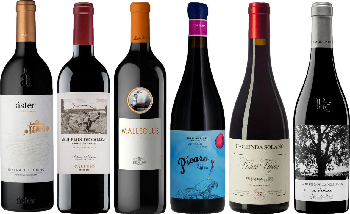 Ribera del Duero Wine Tasting Case