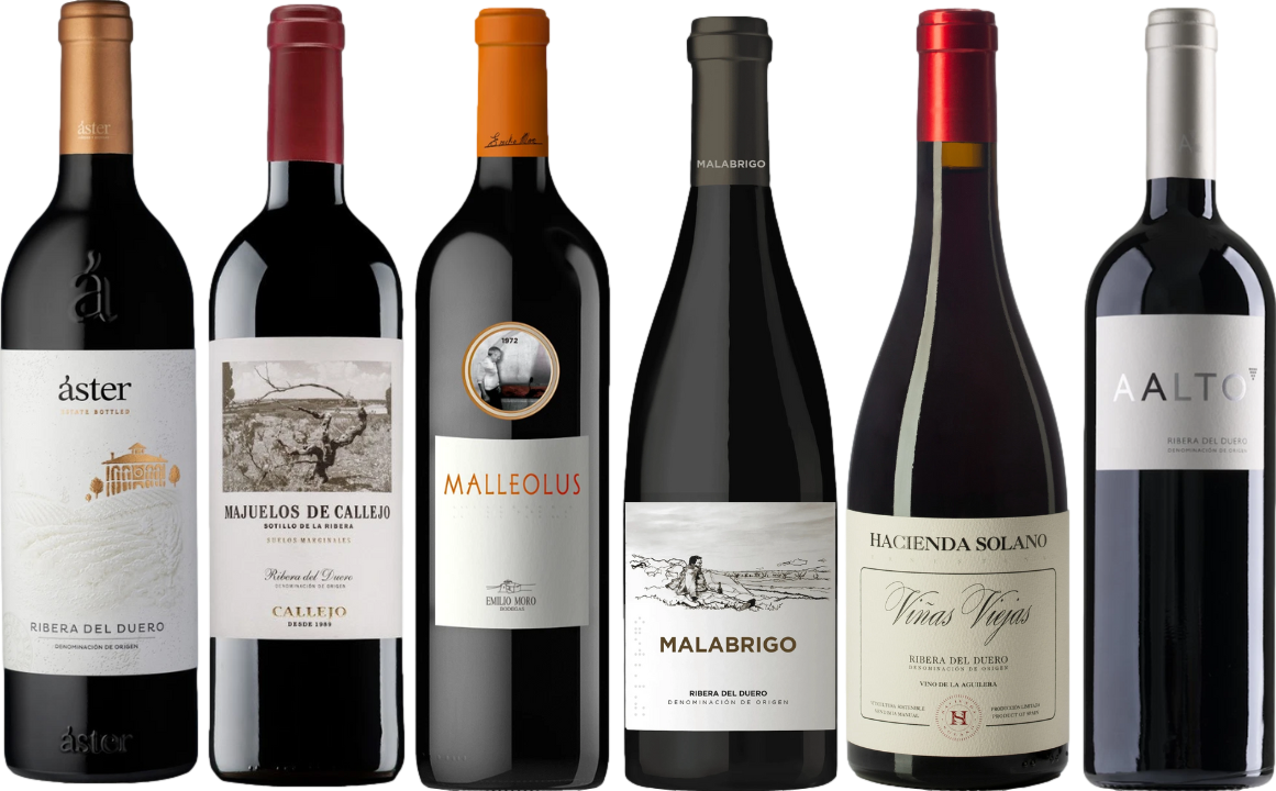 Ribera del Duero Wine Tasting Case