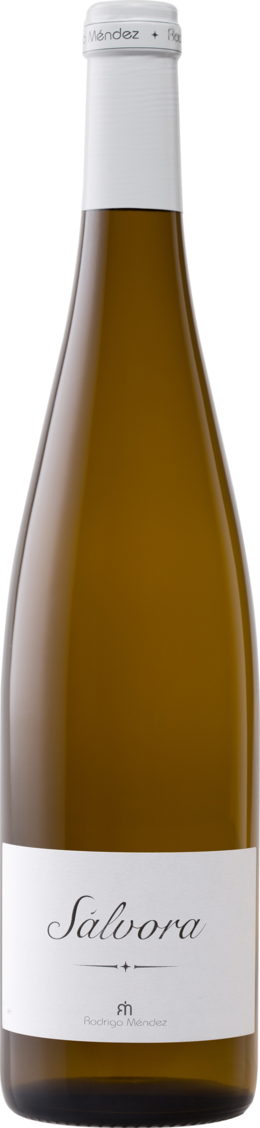 Image of Rodrigo Mendez Salvora 2023