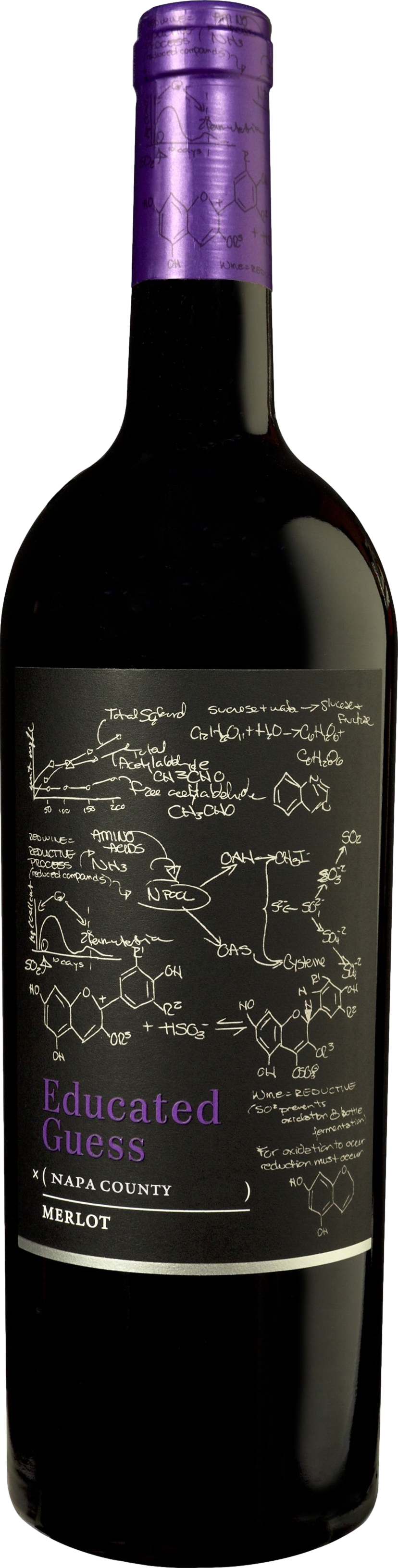 Roots Run Deep Educated Guess Merlot 2023