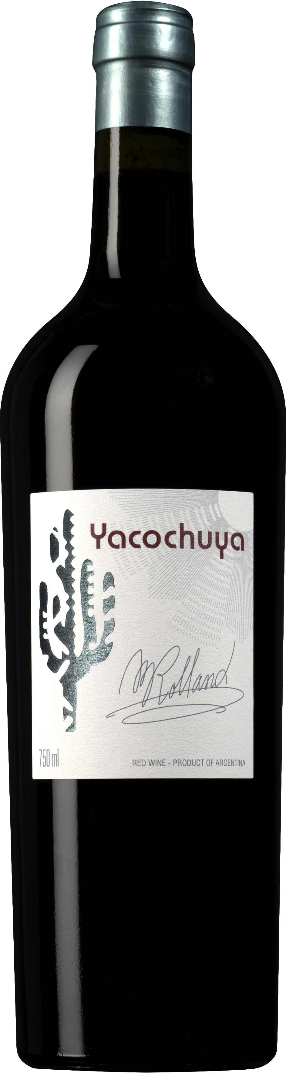 San Pedro de Yacochuya Yacochuya 2019