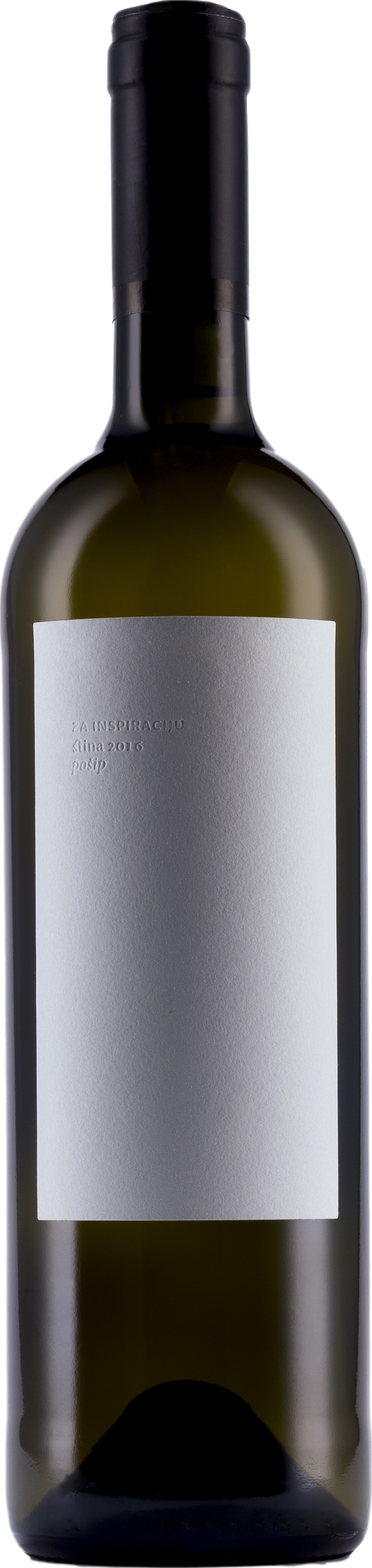 Image of Stina Posip 2023