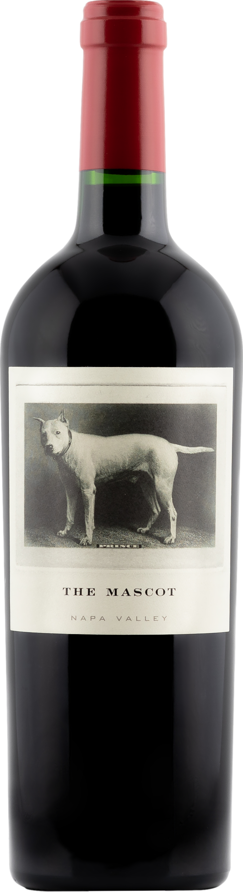 Image of The Mascot 2019