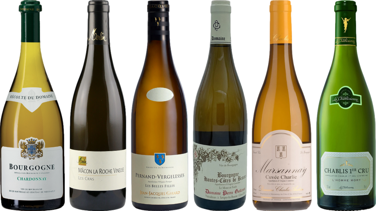 Curated White Burgundy Wine Tasting Set