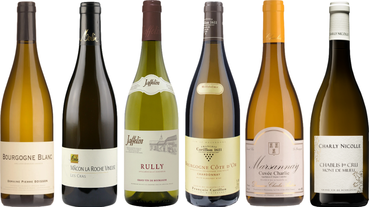 Curated White Burgundy Wine Tasting Set