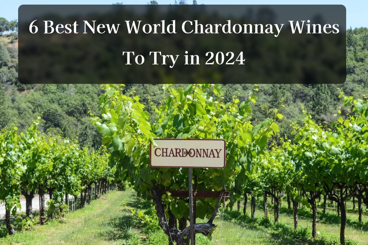 6 Best New World Chardonnay Wines To Try in 2024