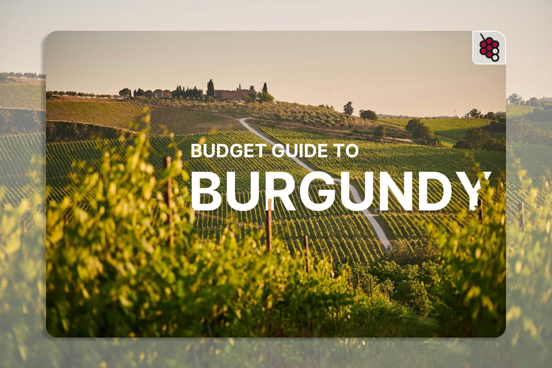 A Budget Guide to Burgundy: How To Find Great Value Wines