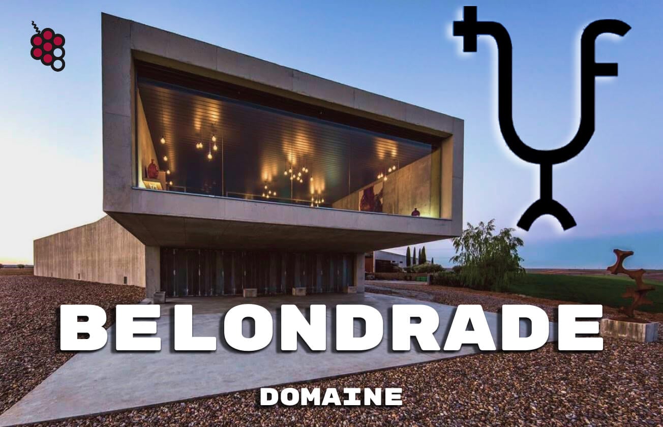 Légendes du Verdejo : Guide de la cave Belondrade