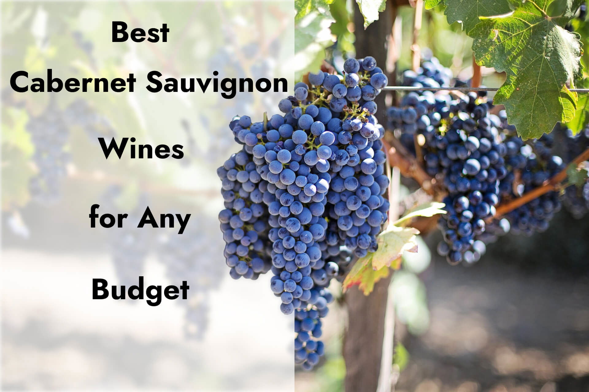 The Ultimate Guide to Cabernet Sauvignon for Any Budget