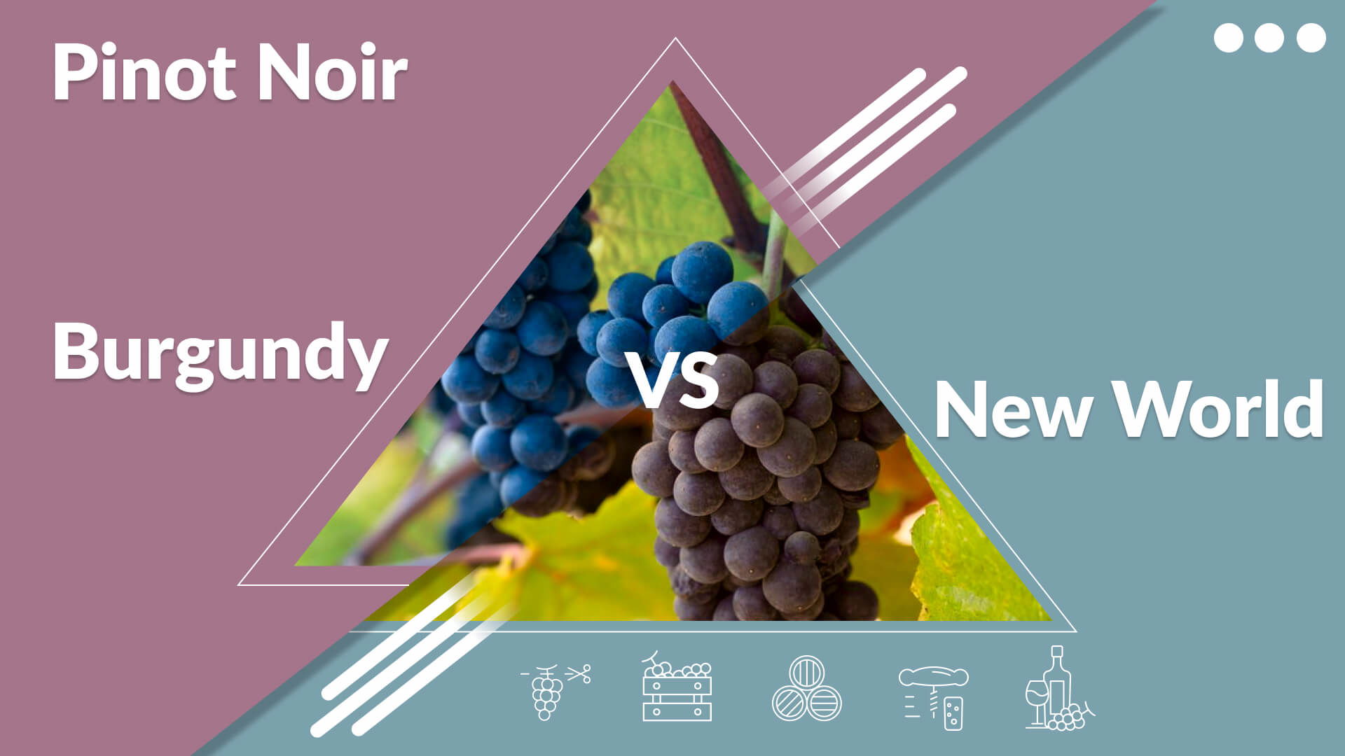 Burgundy vs. New World Pinot Noir