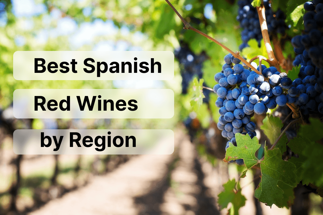 Best Spanish Red Wines by Region