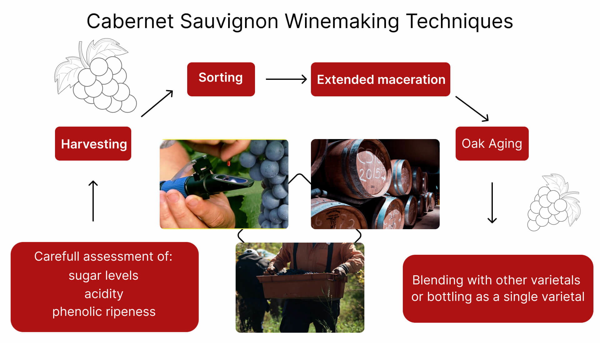 Cabernet Sauvignon Winemaking Techniques