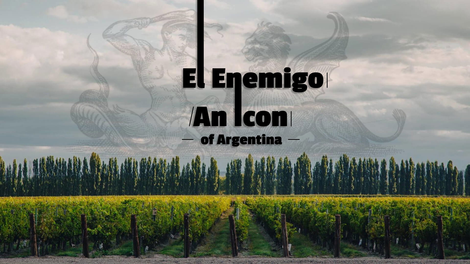 The Iconic El Enemigo Winery: Discover the Best Argentinian Wines